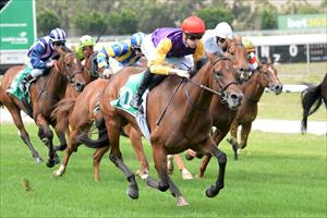 ALLEN HEADS TO PLAN B AND FILLY SALUTES 